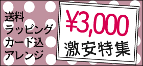 3000円激安特集