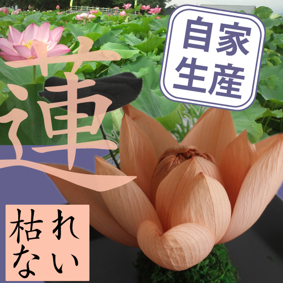 蓮・ハスのプリザーブドフラワーアレンジ
