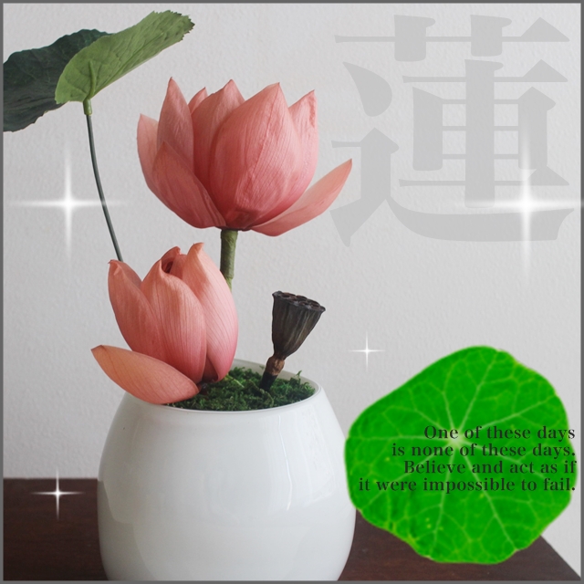 蓮・ハスのプリザーブドフラワーアレンジ