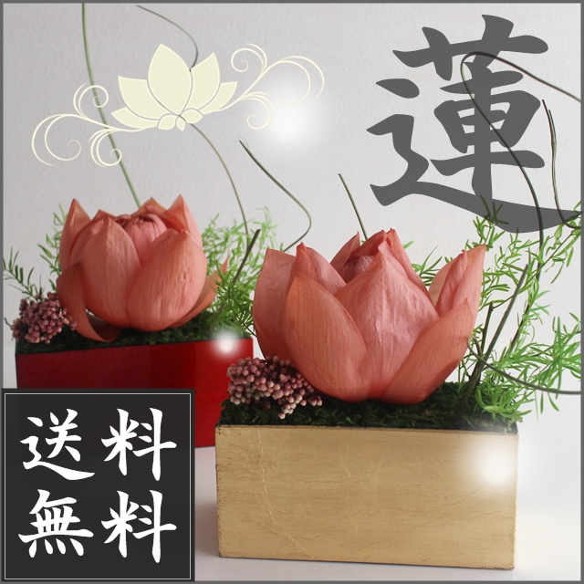 蓮・ハスのプリザーブドフラワーアレンジ