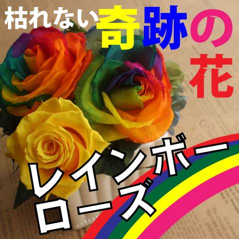 ホワイトローズのアレンジ