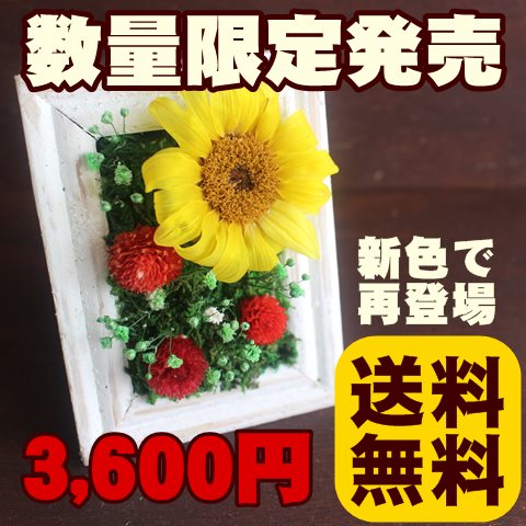 フレンチホウロウアレンジ