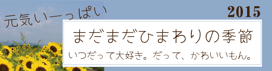 ひまわりのプリザーブドフラワー